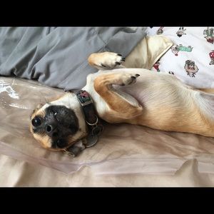 Meet your Posher, Asha